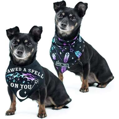  Halloween Hocus Pocus Dog Bandanas - I Smell Children Witch Dog  Scarf - 2 Pcs Adjustable Sanderson Sisters Holiday Party Triangle  Reversible Pet Bandanas for Small Medium Large Dogs : Pet Supplies