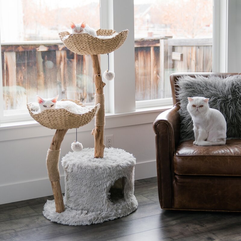 Tucker Murphy Pet™ 43.5'' H Lumley Cat Tree & Reviews