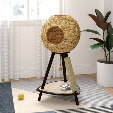 Tucker Murphy Pet™ 43.5'' H Lumley Cat Tree & Reviews