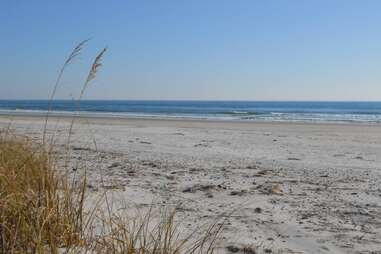 grassy dunes lining the shores of an empty beach