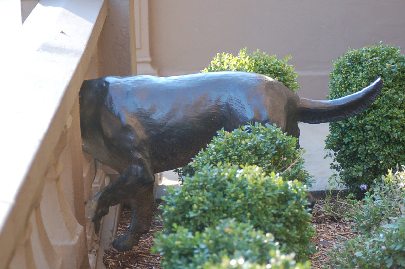 Памятники собаке фото Памятники собаке фото