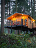two luxury treehouses in a forest off a backyard