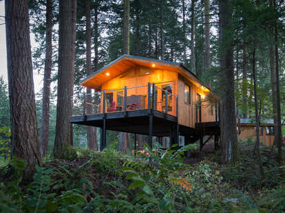 two luxury treehouses in a forest off a backyard