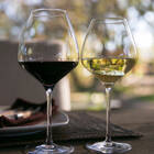 The ONE Wine Glass 2-pack
