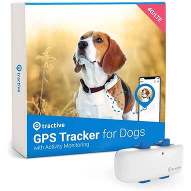 Dank u voor uw hulp Commissie In het algemeen 7 Best GPS Dog Collars On Amazon - DodoWell - The Dodo