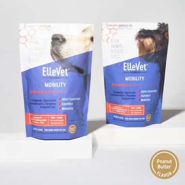 Best for mobility issues: ElleVet Sciences CBD Chews for Dogs