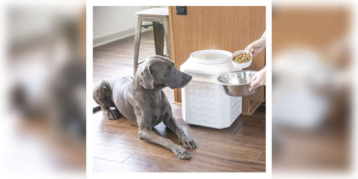 8 HighestRated Amazon Dog Food Containers DodoWell The Dodo