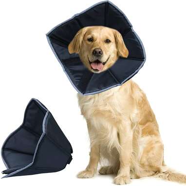 7 Best Dog Cones On Amazon - DodoWell - The Dodo