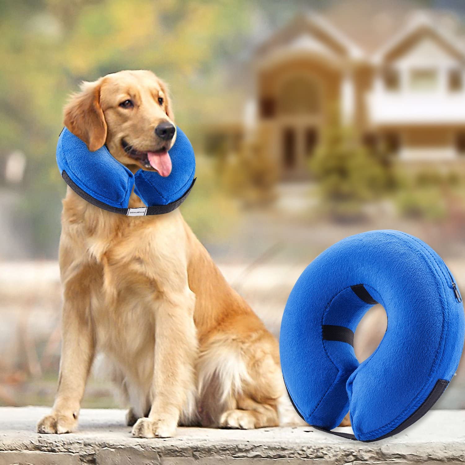 7 Best Dog Cones On Amazon DodoWell The Dodo