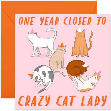 Central 23 - Funny Birthday Card - 'Cat Lady' Joke