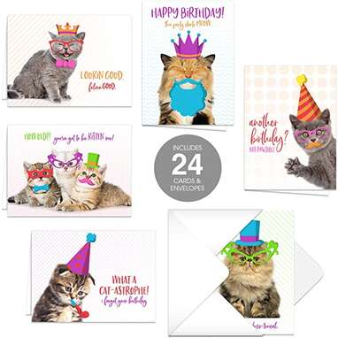 Funny Cat Pun Birthday Card Pack