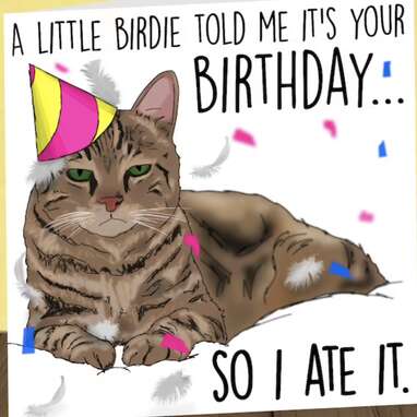 funny cat happy birthday