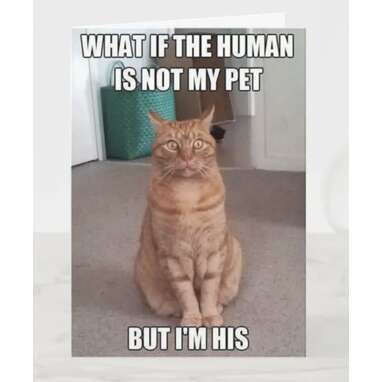Human is not my pet card