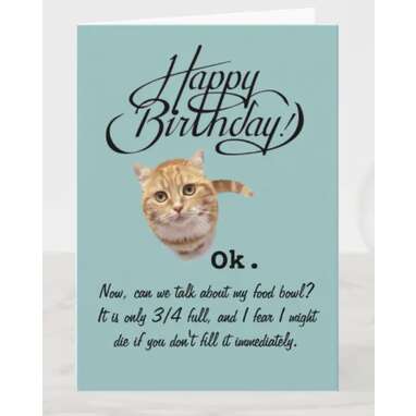 Birthdays From a Cat's Perspective (Birthday Card) Card