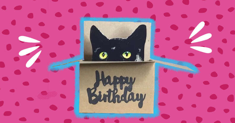 pop up cat in box birthday card