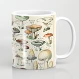 Vintage Mushroom & Fungi Chart by Adolphe Millot Coffee Mug by Visionary Sea