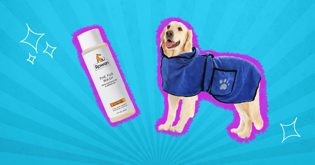 Dog spa 2024 treatment products