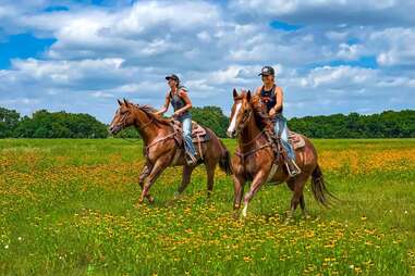 Benbrook Stables