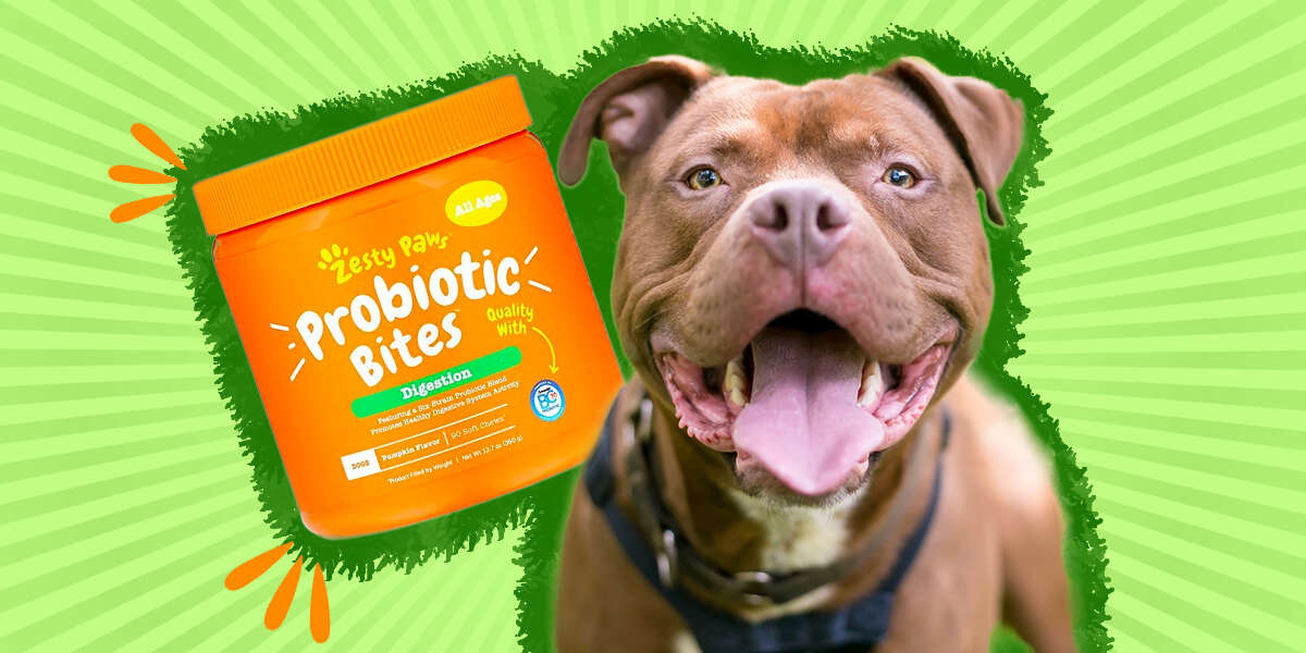 can much probiotics cause diarrhea in dogs