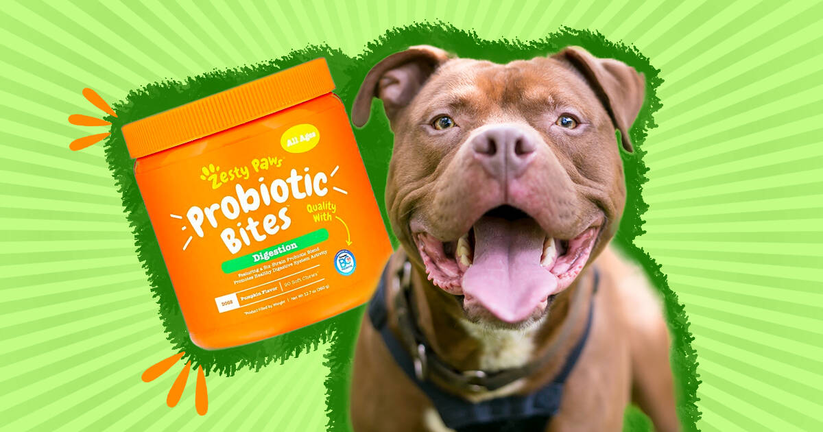 are probiotics bad for dogs