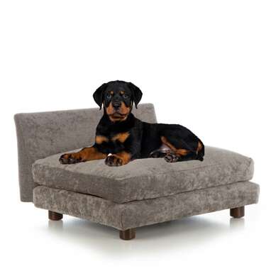 Cornelia dog clearance sofa