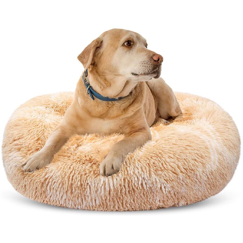 Clara outdoor hooded dog 2024 bed