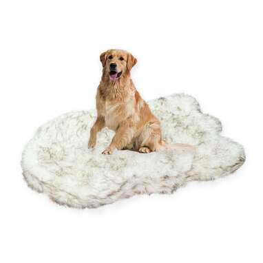 Tucker Murphy Pet™ Heavy-duty Waterproof Washable Pet Mat/Pad