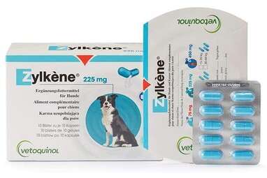 Best Calming Capsules: Vetoquinol Zylkene Calming Supplements