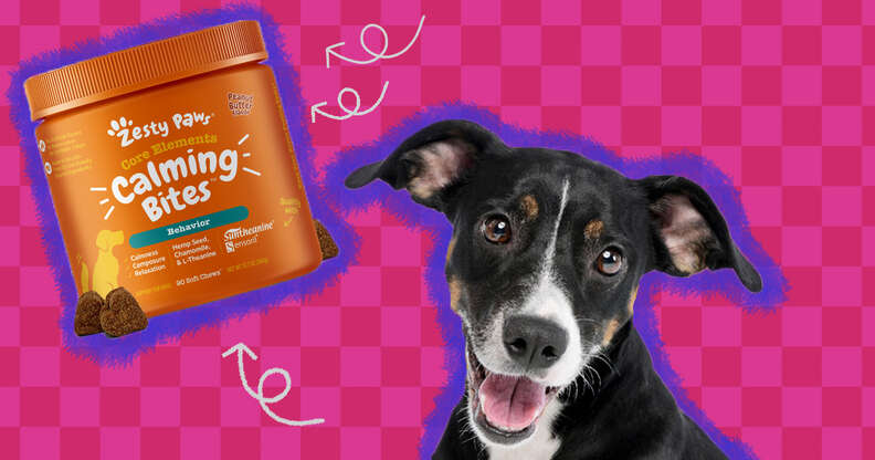 Zesty paws calming 2024 treats