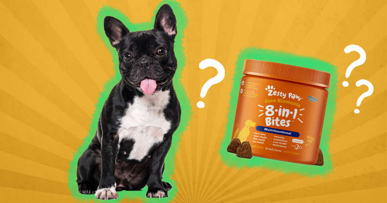 dog with zesty paws supplement