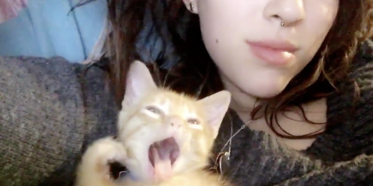 Girl Rescues Animals Everywhere She Goes - Videos - The Dodo