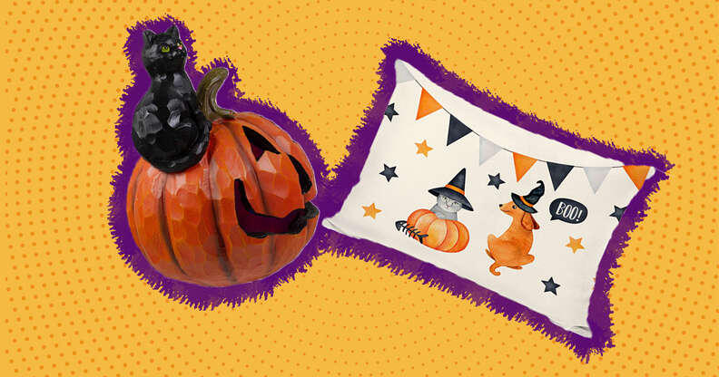 pet Halloween decorations