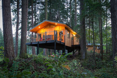 a luxury treehouse in the woods in the evening