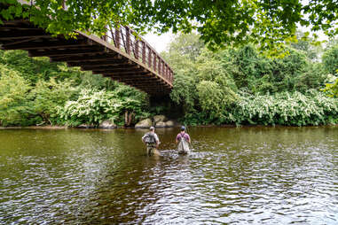 Fly-fishing in Roscoe, NY