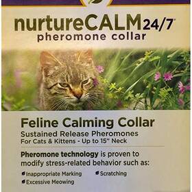 Nurture calm for 2024 cats