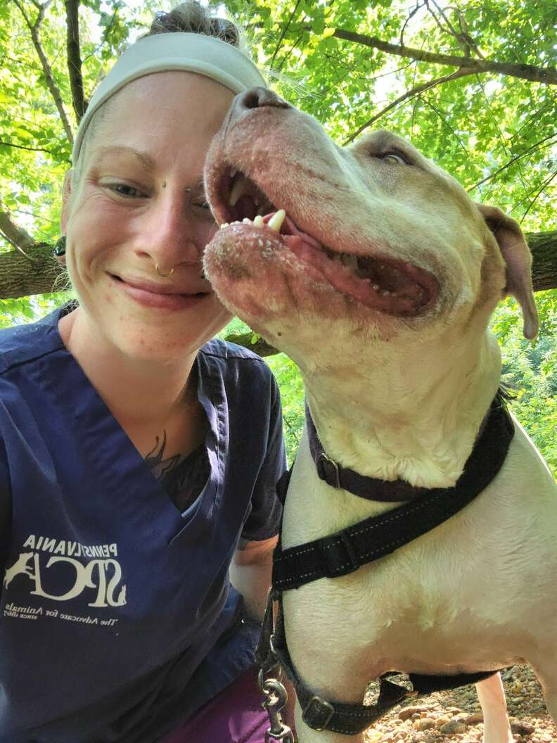 dog needs a home