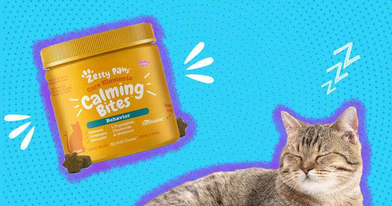 Natural best sale cat relaxant