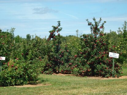 Eastmont Orchards: Colts Neck, NJ - Thrillist