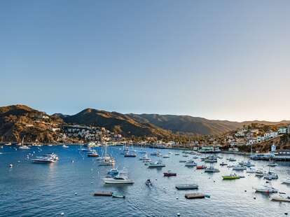 Chicago Cubs on Catalina Island