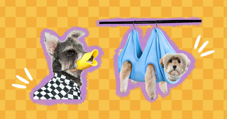 Funny dog grooming tools
