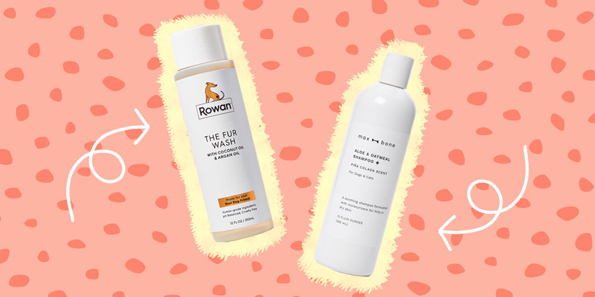 Strong smelling dog clearance shampoo