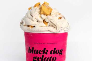 black dog gelato