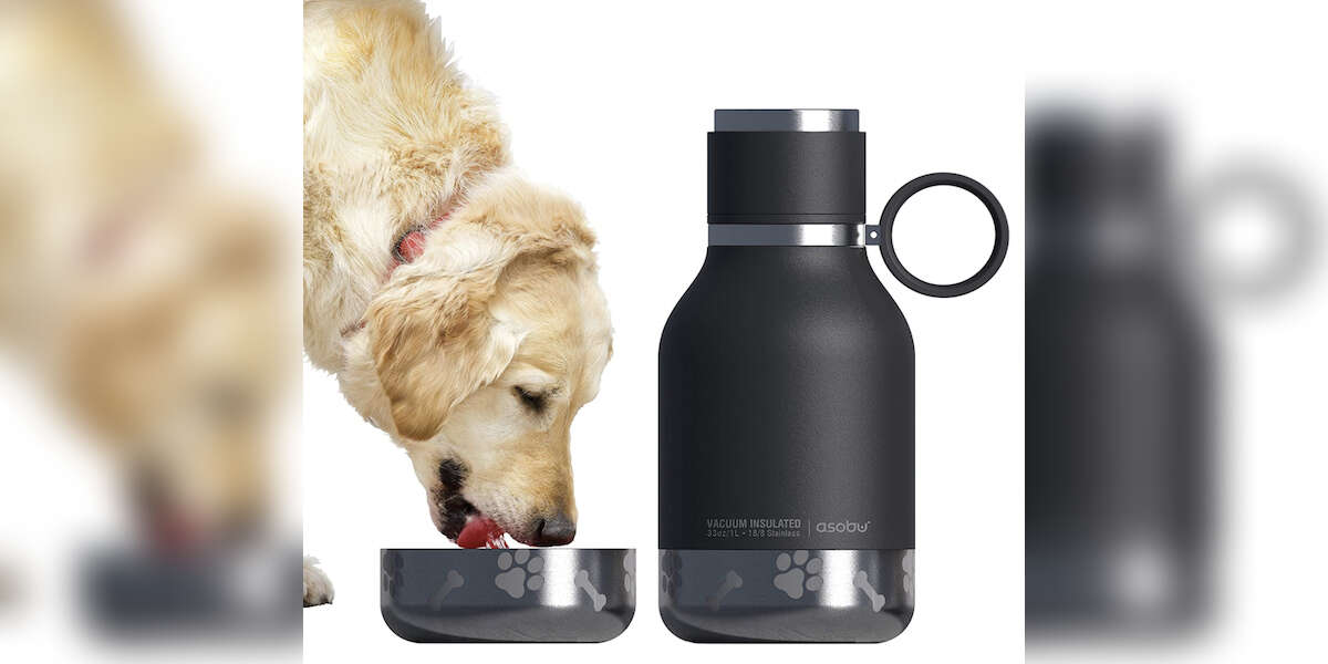 9 Best Dog Water Bottles On Amazon DodoWell The Dodo