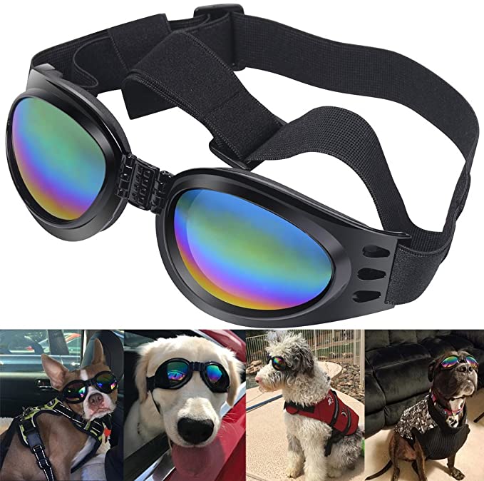 Dog 2024 aviator glasses