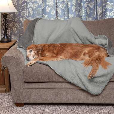 Furhaven ThermaNAP Self-Warming Quilted Blanket