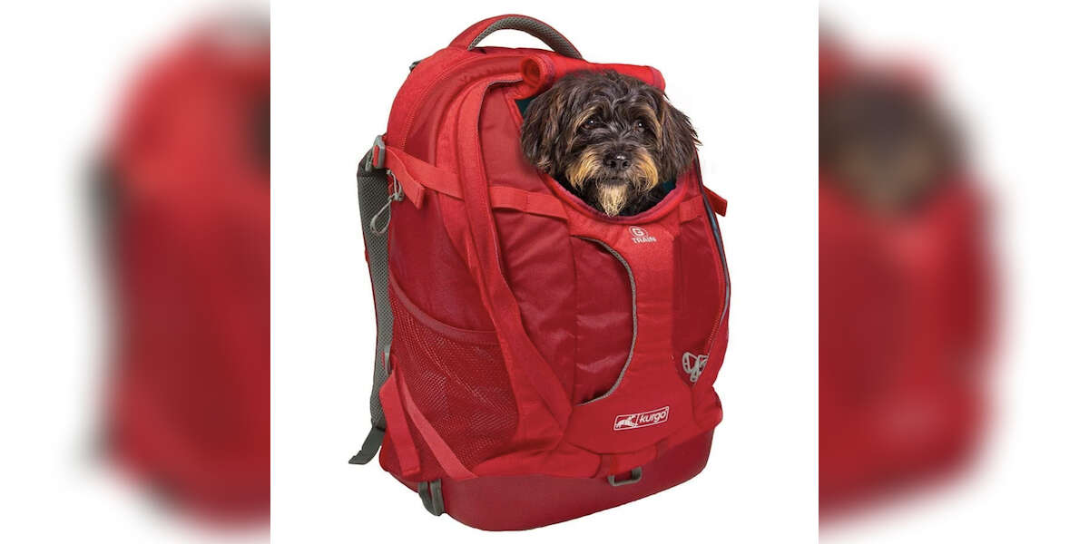 9 Best Dog Backpacks On Amazon DodoWell The Dodo