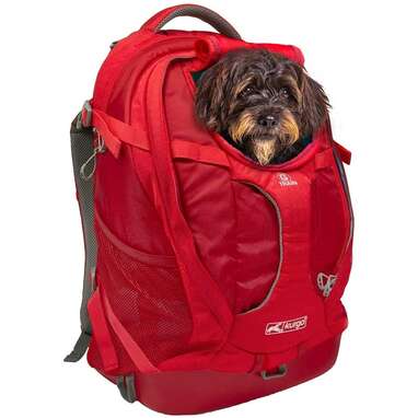 what is the best dog carrier