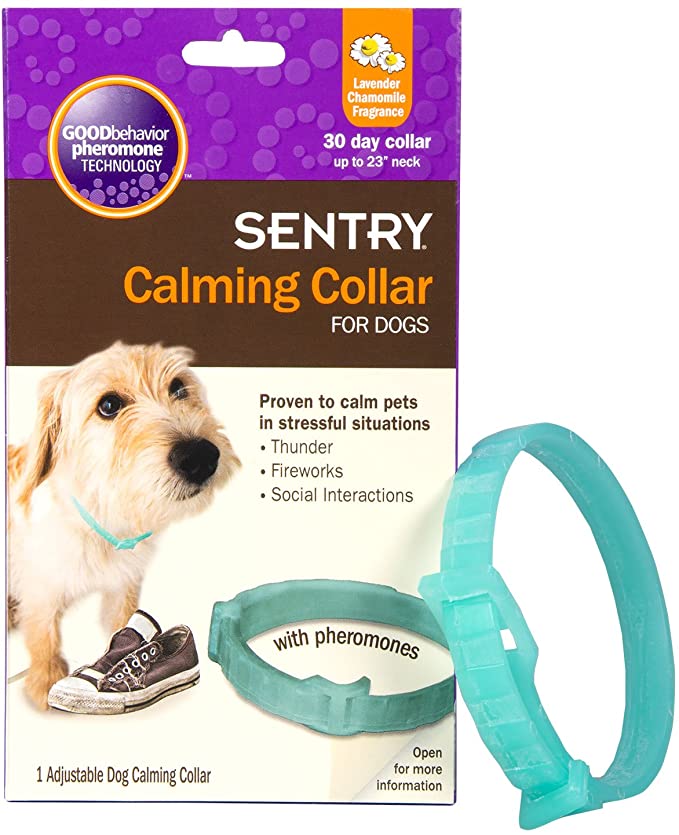 Best pheromone 2025 collar for dogs