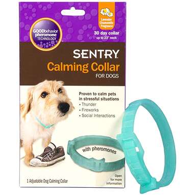 These Vet Recommended Calming Collars For Dogs Actually Work