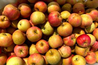 Door Creek Orchard